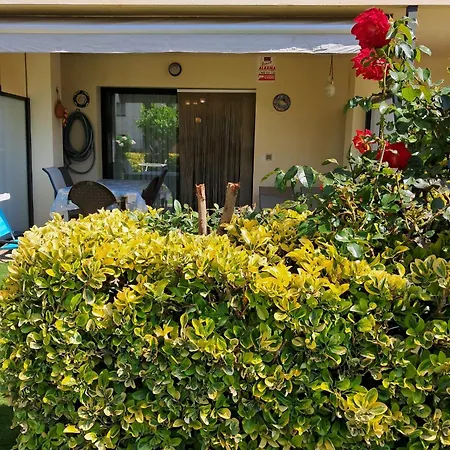 Edificio Millenium Ii Villabonita Daire *